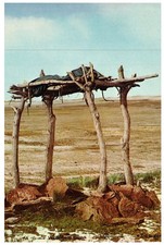1968 A Sioux Warrior's Grave #D-15343 The Huffman Pictures Photographs of the Ol picture