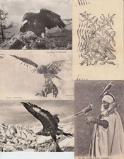 EAGLES EAGLES 23 Vintage ANIMALS Postcards Mostly Pre-1940 (L3634) picture