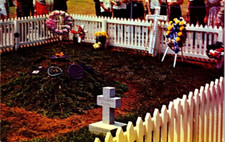 Grave of John F. Kennedy Arlington National Cemetery Virginia Postcard picture