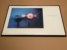 Harold Edgerton Bullet Piercing Apple 1964 Poster Print Frame 30x20” 1984 picture