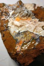 Priday Plume Agate - Museum Quality Rare - Beautiful Colorful Plumes. (148 gram) picture