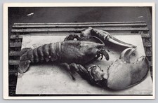 RPPC Kobs' Searsport Maine GIANT 26.5 LB Lobster Pound US Highway 1 Postcard picture
