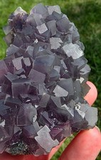 Purple Cubic Fluorite, 5