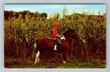 Milwaukee WI-Wisconsin, Boy on Horse, Vacationland, PC Vintage c1957 Postcard picture