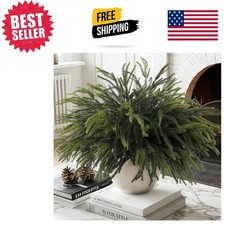 Elegant 24'' Norfolk Pine Stems - 12 Waterproof Greenery Picks for Festive Decor picture
