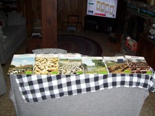 SIX 1962 FEED-HEALTH MANUALS- DAIRY-SHEEP-BEEF-HOG- CHICKEN-TURKEY-NICE picture
