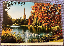 VTG Cont. Postcard - Swans on Shakespeare's Avon in Stratford-Upon-Avon, UK picture