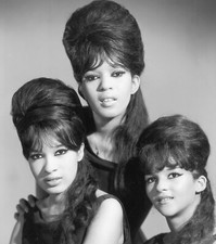 THE RONETTES 8X10 GLOSSY PHOTO IMAGE #1 picture
