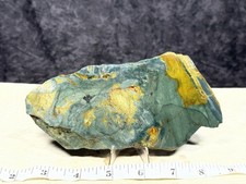 Beautiful Larsonite(Gary green, Freedom) Jasper Bogwood Slab, Lot#506 picture