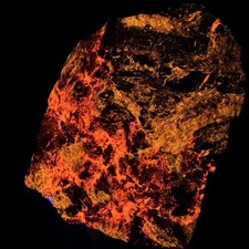 Superb Large Fluorescent Svabite: Långban Mine, Värmland County, Sweden picture