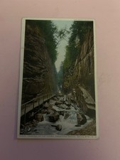 1910 looking up the flume, Franconia notch, white Mts NH picture