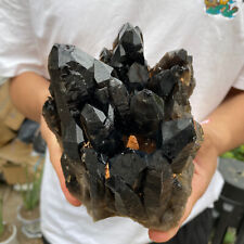 3.9lb Large Natural  Smoky Black Quartz Crystal Cluster Raw Mineral Specimen picture