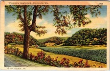Postcard NATURE SCENE Clintonville Wisconsin WI s/06 AL1664 picture
