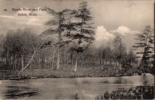 Postcard Ripple River and Park, Aitkin, Minnesota MN to Polar, Wisconsin c1907 picture