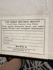 Vintage Ward’s Riker Insect Specimen Mount Ohio Butterfly Beetles Oddity 461L picture