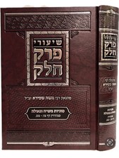 שיעורי פרק חלק מרבי משה שפירא סוגיות משיח וגאולה Rabbi Moshe Shapiro picture