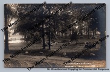 Greenshaw's Landing HANOVER Michigan RPPC Farewell Lake Antique Photo 1930s picture