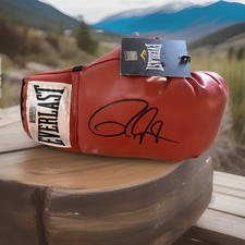 Roy Jones Jr. Signed Autographed Everlast RIGHT  Hand Boxing Glove Primetime COA picture