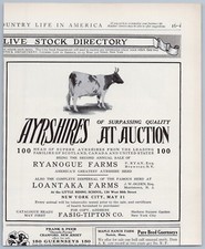 1914 Ayrshires Livestock Cattle Auction Vintage Ad Ryanogue Loantaka Cow Farms picture