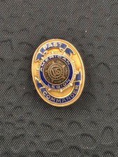 Vintage American Legion Past Post Commander Pin 10k Gold picture