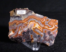 Crazy Lace Agate Thick Slab with Hematite Collector Lapidary Specimen Mexico picture