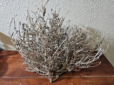 Small Round American West Tumbleweed 12