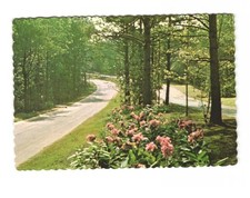 Landscaped entrance Parkway at Arbor Station Vintage postcard unposted picture