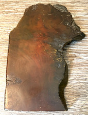 Vintage California Redwood Petrified Wood Slab Souvenir Polished Jasper Agate picture