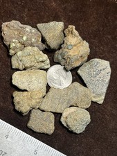Damele Turquoise Rough 98g Natural Rare Nevada Gemstone Damale Nuggets picture