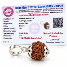 8 Mukhi Rudraksha Original Natural Bead With Lab Certificate Report picture