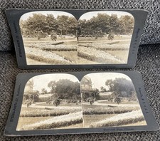 2 Antique 1890s Stereoview Stereoscope Cards Landscape Sterro-photo Co picture