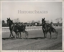 1937 Press Photo Hollywood Audrey works training mile with Bravo in Aiken, SC picture
