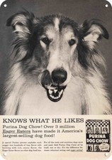 1965 COLLIE DOG Lassie & PURINA Dog Chow DECORATIVE REPLICA METAL SIGN picture