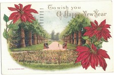 To Wish You A Happy New Year California Park Embossed Poinsettia 1961 Postcard picture