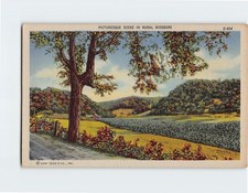 Postcard Picturesque Scene in Rural Missouri USA picture