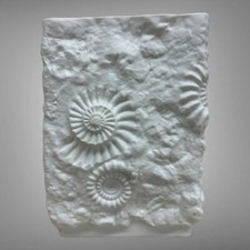 MCM Mid-Century Manfred Frey AK Kaiser Fossil Nautilus Vase Bisque Porcelain picture