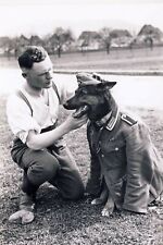 german shepherd and soldier in military uniform WW2 Photo Glossy 4*6 in L015 picture