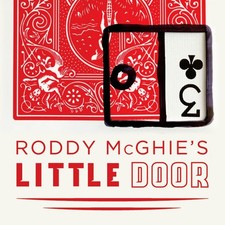 LITTLE DOOR BY RODDY MCGHIE: A Magical Tale Brought to Life picture