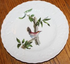 ALFRED MEAKIN BIRDS OF AMERICA 8.75