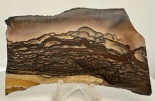Blue/Pink Biggs Picture Jasper polished, old stock picture