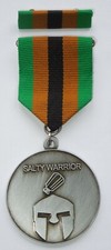 THE SALTY WARRIOR US Military Humor Retirement Gag Gift Medal DR5 picture