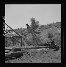 Photo:1930s Logging Operation Crane Hauling Logs picture