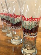 Lot of 5 Vintage Budweiser Pilsner Beer Glass Clydesdale, (4) 1992, (1) 1989 picture