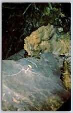 Crystal Cave Pennsylvania Indian Head Formation Cavern Interior Vintage Postcard picture