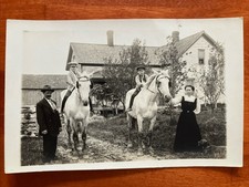 Kids On Horses RPPC Real Photo Postcard Stetsonville Wisconsin picture