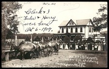 Vintage Real Photo Postcard 1907 Elk Feeding Washingtonville Pennsylvania  picture