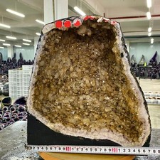 31LB  Natural citrine geode quartz cluster crystal cathedrals specimen healing picture
