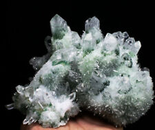 3.90lb New Find Beatiful Green Tibetan Phantom Quartz Crystal Cluster Specimen picture
