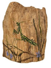 Praying Mantis Painted on Cypress Wood Figurine Signed Eignus H8