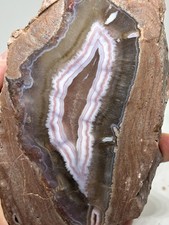 622g Rare Pink Banded Agate Raw Natural Specimen picture